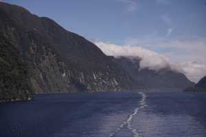 FIORDLAND-NATIONAL-PARK-2019 (256)